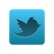 twitter_icon_2011